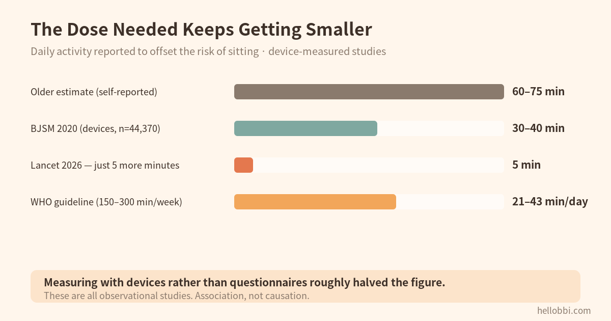 Five Minutes a Day, and the Standing Desk That Did Not Help
